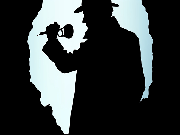 东莞私家侦探婚姻调查中如何运用心理学分析？揭秘专业技巧